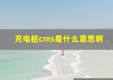 充电桩cms是什么意思啊