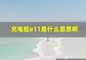 充电桩e11是什么意思啊