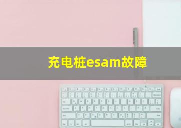 充电桩esam故障