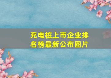 充电桩上市企业排名榜最新公布图片