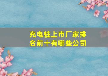 充电桩上市厂家排名前十有哪些公司