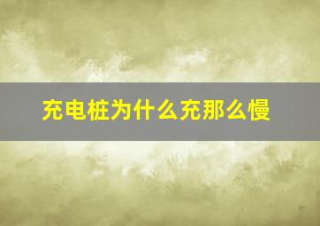 充电桩为什么充那么慢