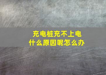 充电桩充不上电什么原因呢怎么办