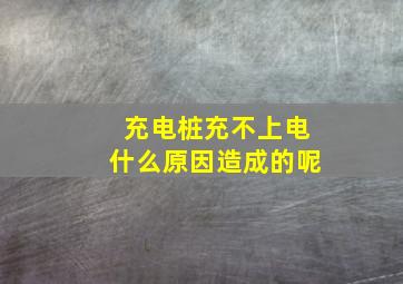 充电桩充不上电什么原因造成的呢