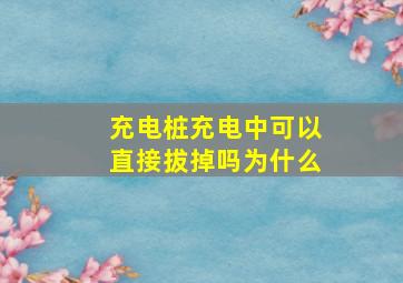 充电桩充电中可以直接拔掉吗为什么