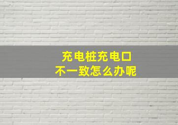 充电桩充电口不一致怎么办呢