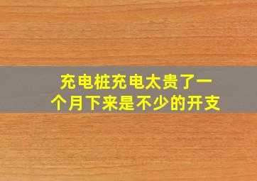 充电桩充电太贵了一个月下来是不少的开支