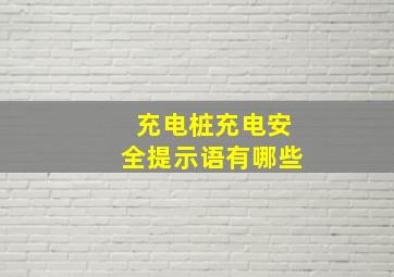 充电桩充电安全提示语有哪些