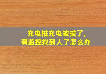 充电桩充电被拔了,调监控找到人了怎么办