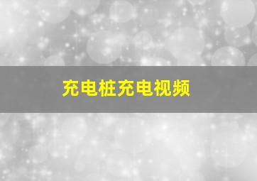 充电桩充电视频