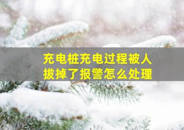 充电桩充电过程被人拔掉了报警怎么处理