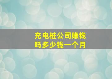 充电桩公司赚钱吗多少钱一个月