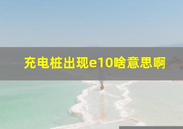 充电桩出现e10啥意思啊