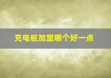 充电桩加盟哪个好一点