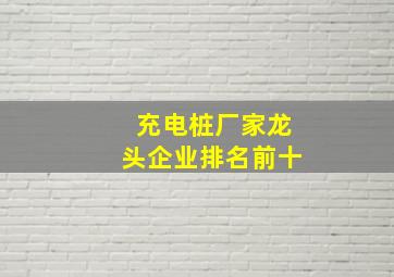 充电桩厂家龙头企业排名前十