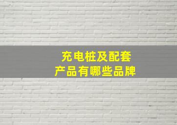 充电桩及配套产品有哪些品牌