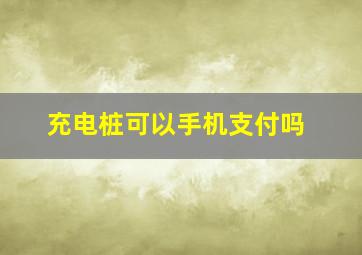 充电桩可以手机支付吗