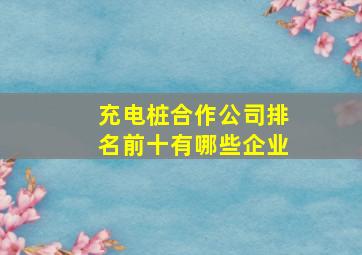 充电桩合作公司排名前十有哪些企业