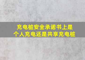 充电桩安全承诺书上是个人充电还是共享充电桩