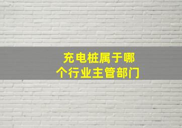 充电桩属于哪个行业主管部门