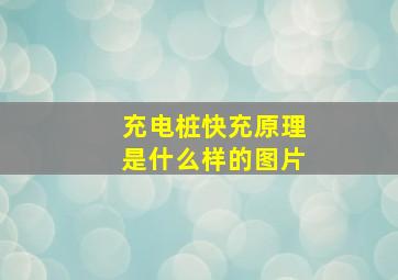 充电桩快充原理是什么样的图片