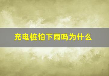 充电桩怕下雨吗为什么