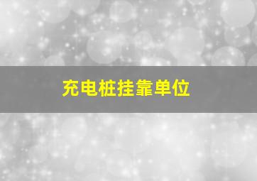 充电桩挂靠单位