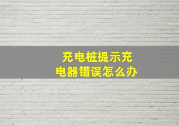 充电桩提示充电器错误怎么办