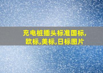 充电桩插头标准国标,欧标,美标,日标图片