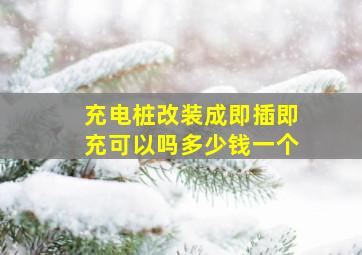 充电桩改装成即插即充可以吗多少钱一个