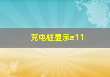 充电桩显示e11