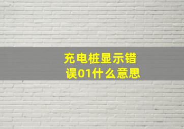 充电桩显示错误01什么意思