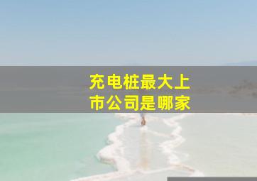 充电桩最大上市公司是哪家