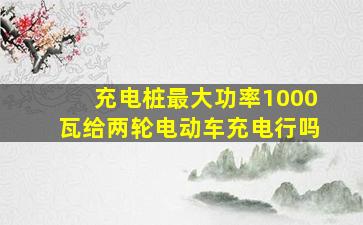 充电桩最大功率1000瓦给两轮电动车充电行吗