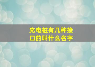 充电桩有几种接口的叫什么名字