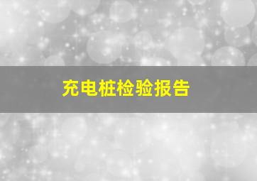 充电桩检验报告