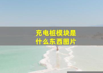 充电桩模块是什么东西图片