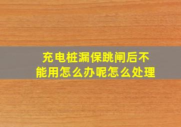 充电桩漏保跳闸后不能用怎么办呢怎么处理