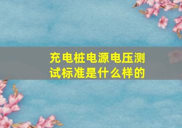 充电桩电源电压测试标准是什么样的