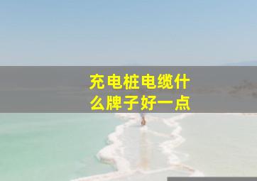 充电桩电缆什么牌子好一点