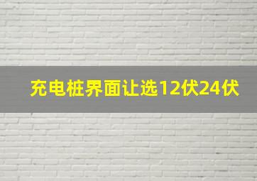 充电桩界面让选12伏24伏