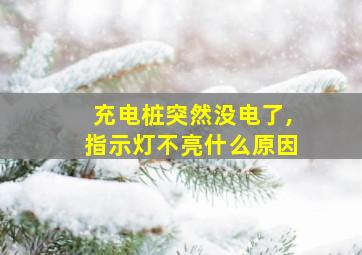 充电桩突然没电了,指示灯不亮什么原因