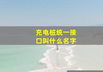 充电桩统一接口叫什么名字