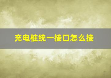 充电桩统一接口怎么接