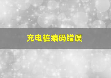 充电桩编码错误