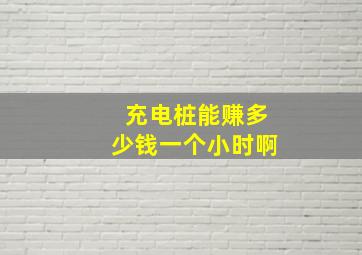 充电桩能赚多少钱一个小时啊