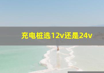 充电桩选12v还是24v