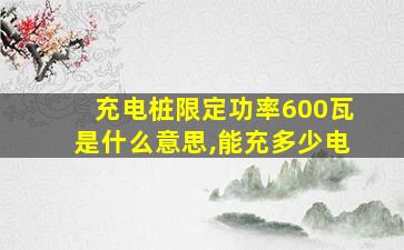 充电桩限定功率600瓦是什么意思,能充多少电