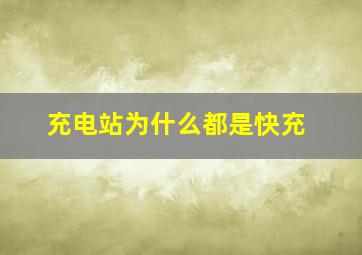 充电站为什么都是快充