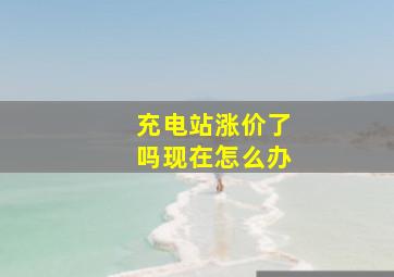 充电站涨价了吗现在怎么办